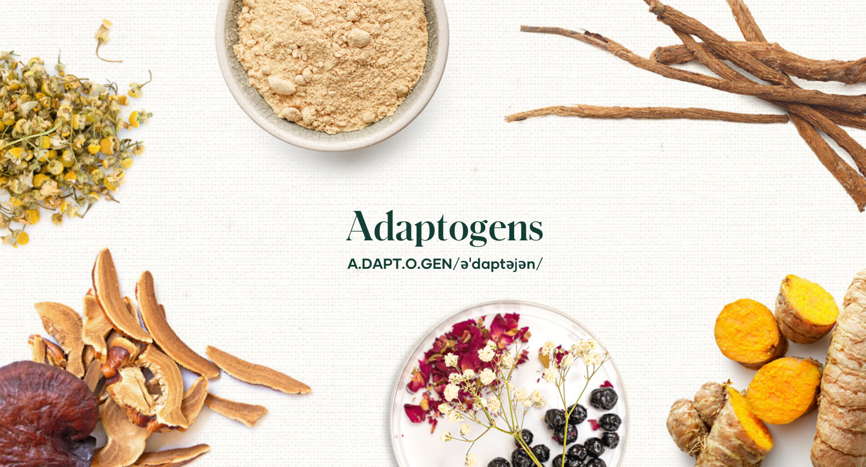 Harnessing the Power of Adaptogens: Combatting Stress for a Balanced Life